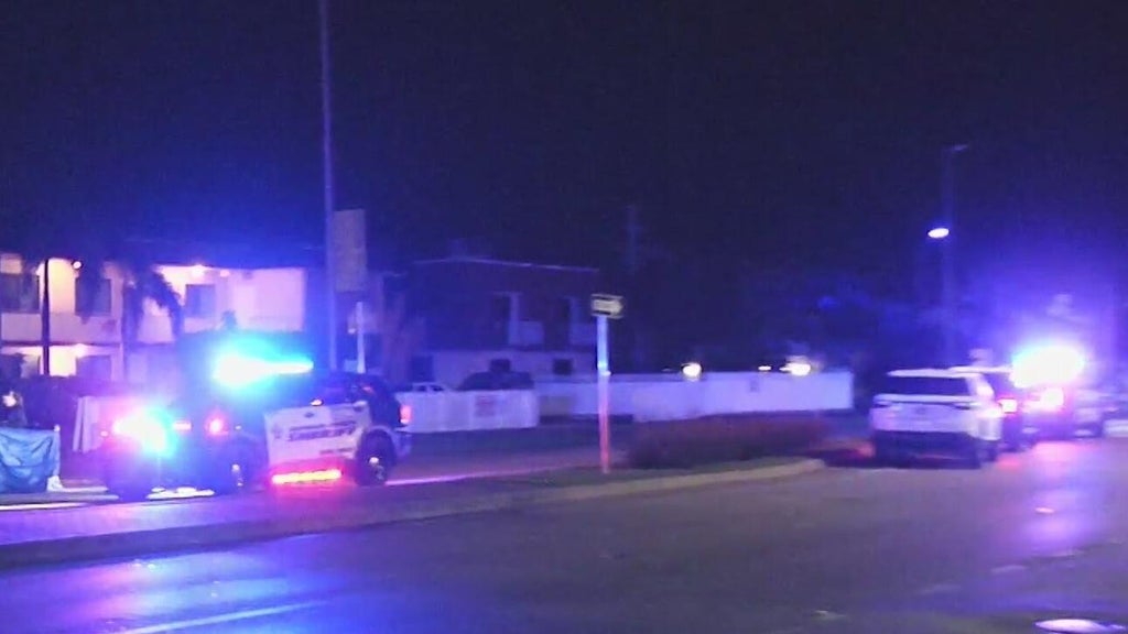 Woman accused of killing man in Dania Beach hit-and-run, BSO says — CBS Miami, Jupiter Community news