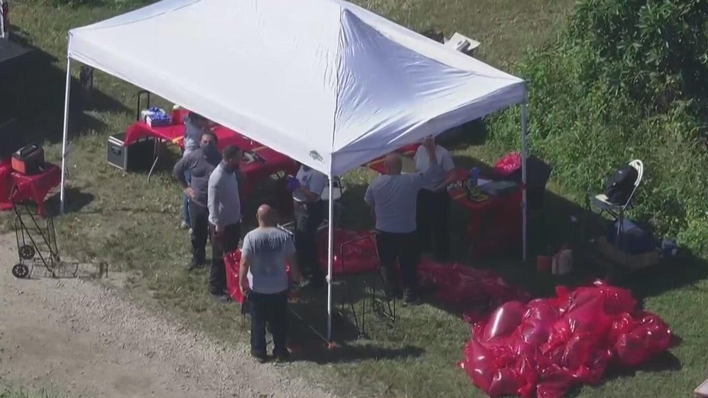 2 men accused of taking part in illegal cockfighting ring, MDSO says — CBS Miami, Jupiter Community news