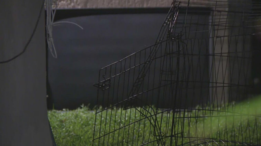 911 call captures frantic report of dog chasing, biting children in Miami — CBS Miami, Jupiter Health news