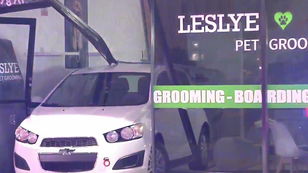 Car crashes into Doral pet grooming shop; no one hurt — CBS Miami, Jupiter Business news