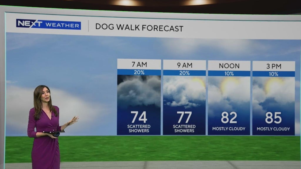 South Florida sees some showers Tuesday, but rain chances rise by end of week — CBS Miami, Jupiter Community news