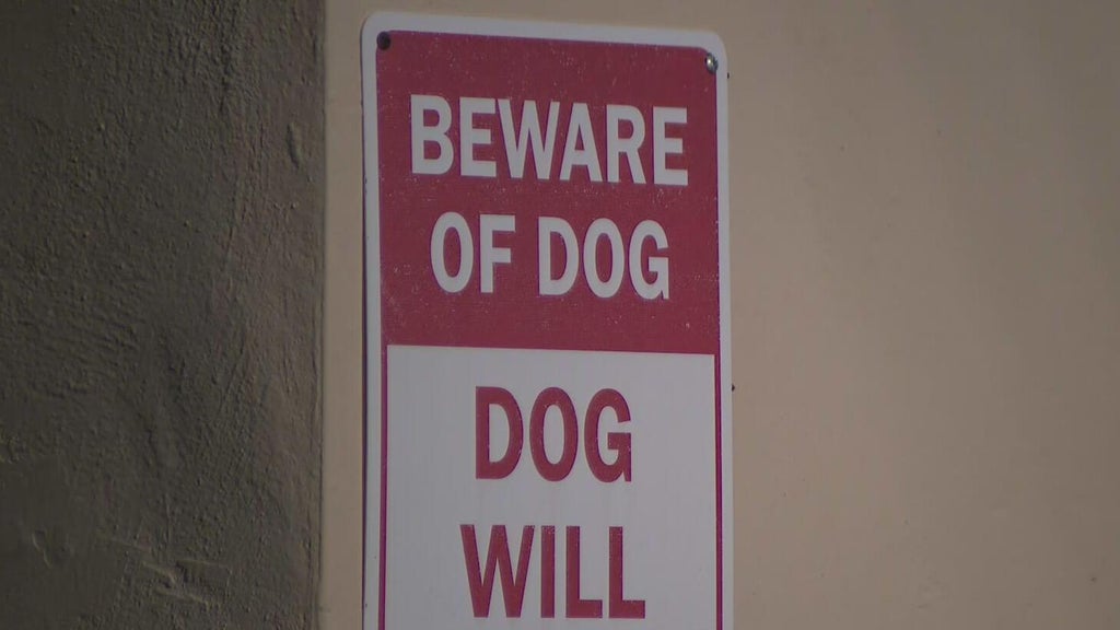 Dog on the loose after attacking a child in northwest Miami-Dade, deputies said — CBS Miami, Jupiter Health news