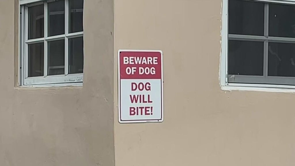 Dog who bit girl in northwest Miami-Dade taken into Animal Services custody — CBS Miami, Jupiter Community news
