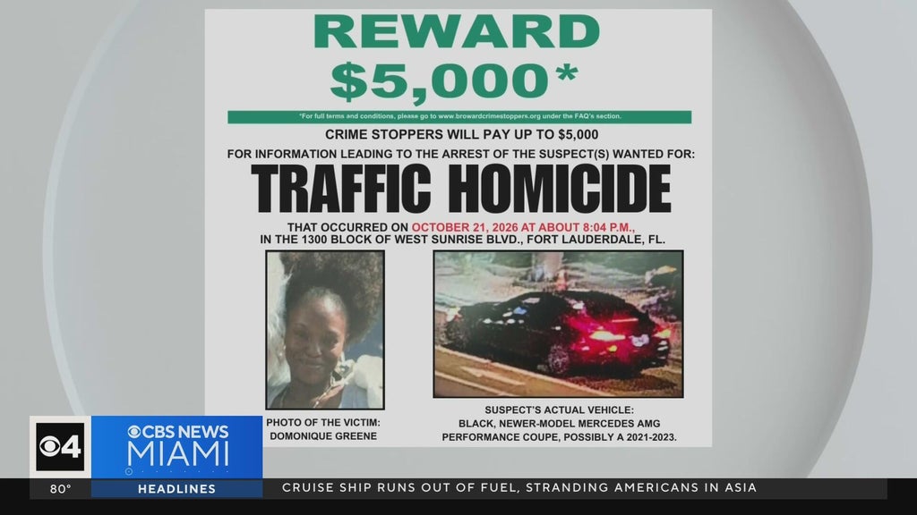 Family of Fort Lauderdale mom killed in hit-and-run pleads for help finding driver — Jupiter Community news