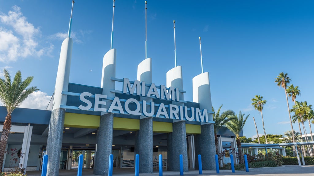 2 Miami-Dade residents sue to require countywide vote on Miami Seaquarium marina development plan — CBS Miami, Jupiter Real Estate news