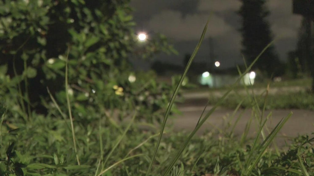Broward mother says she went months without update after reporting man outside her window — CBS Miami, Jupiter Real Estate news