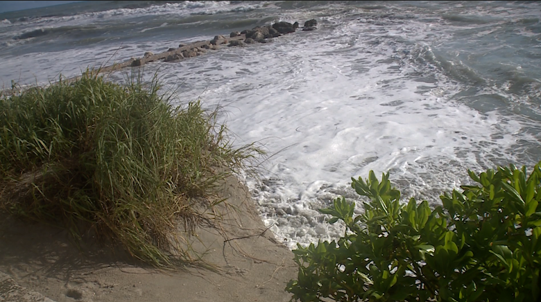 King tide pushes water to the seawall at Midtown Beach — Jupiter Community news