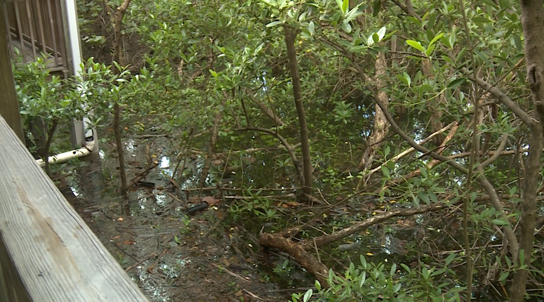 King tides flood Jupiter Island as Amendment 3 raises funding concerns — WPBF West Palm Beach