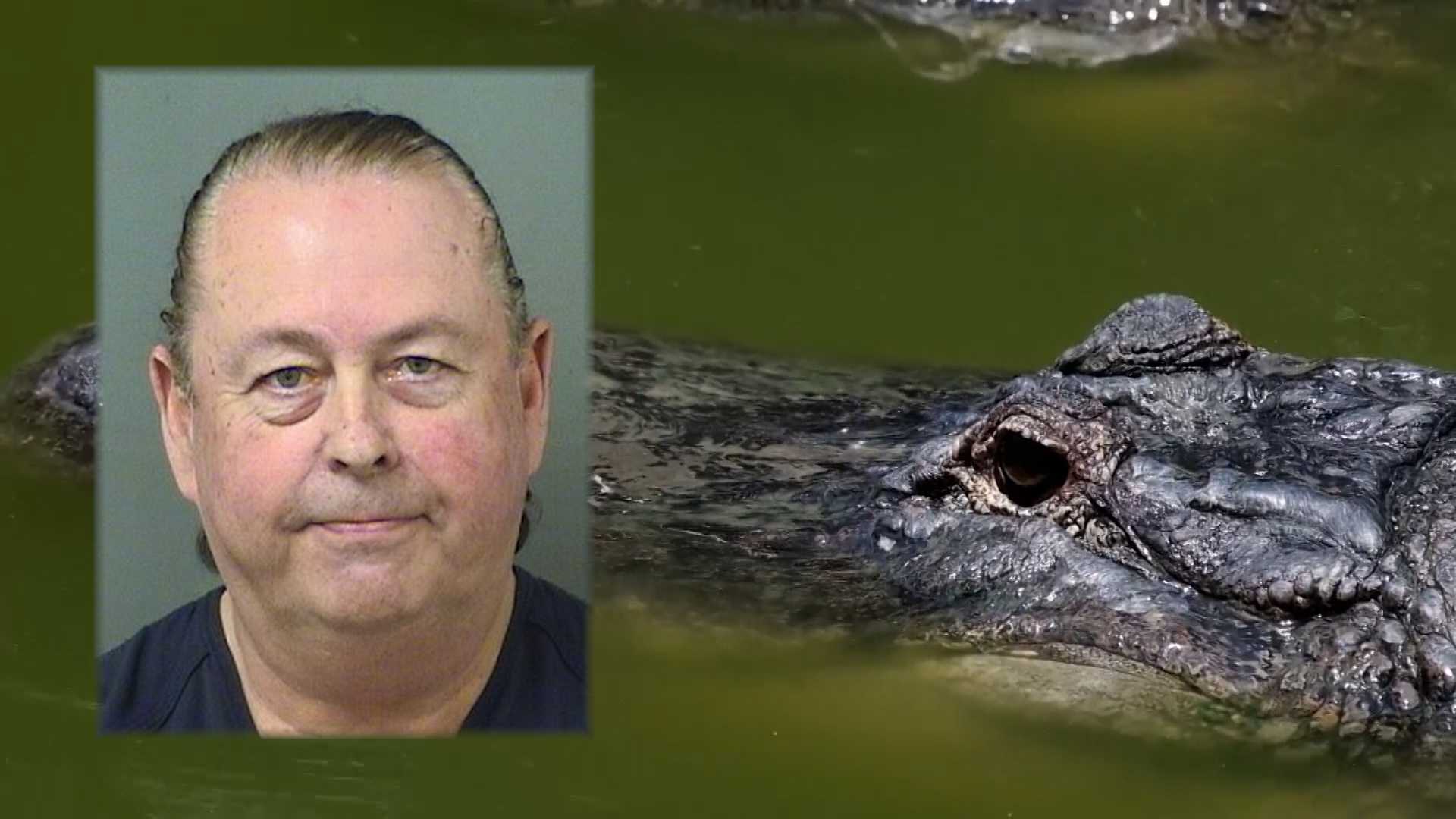 Florida businessman accused of killing alligator with hammer appears in court — WPBF West Palm Beach, Jupiter Business news