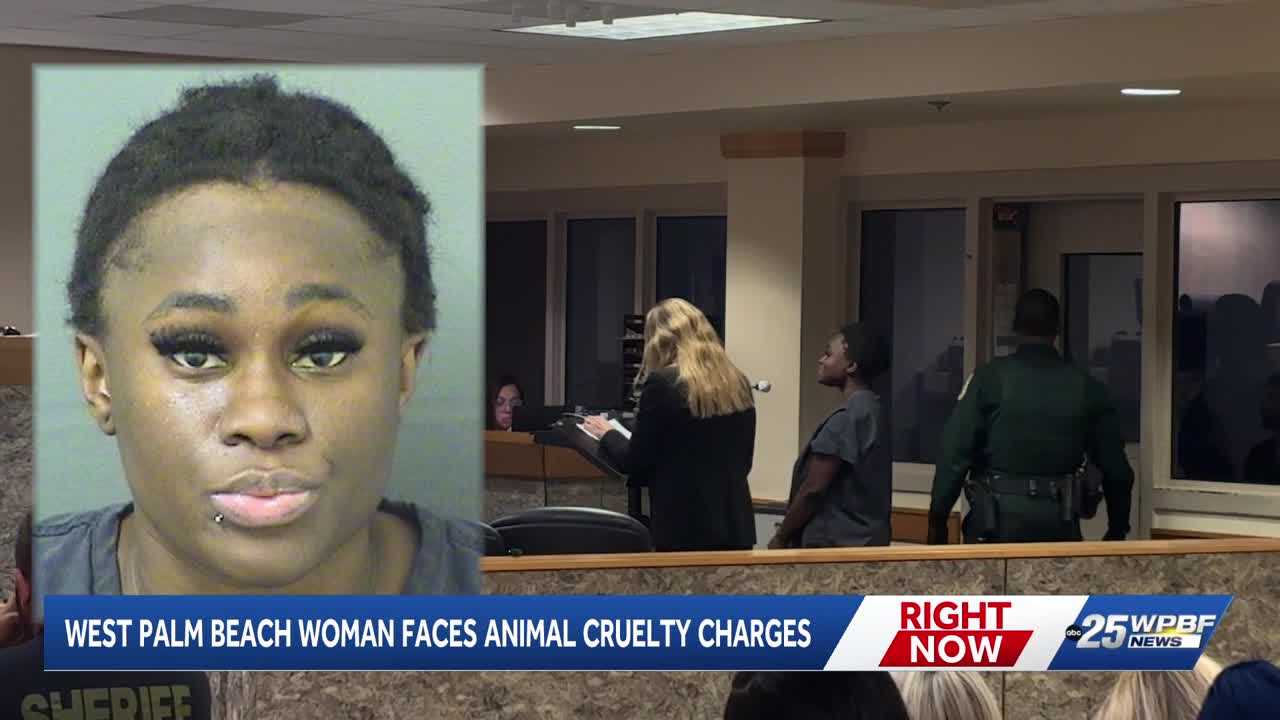 West Palm Beach woman faces aggravated animal cruelty after death of Yorkshire terrier — WPBF West Palm Beach, Jupiter Community news
