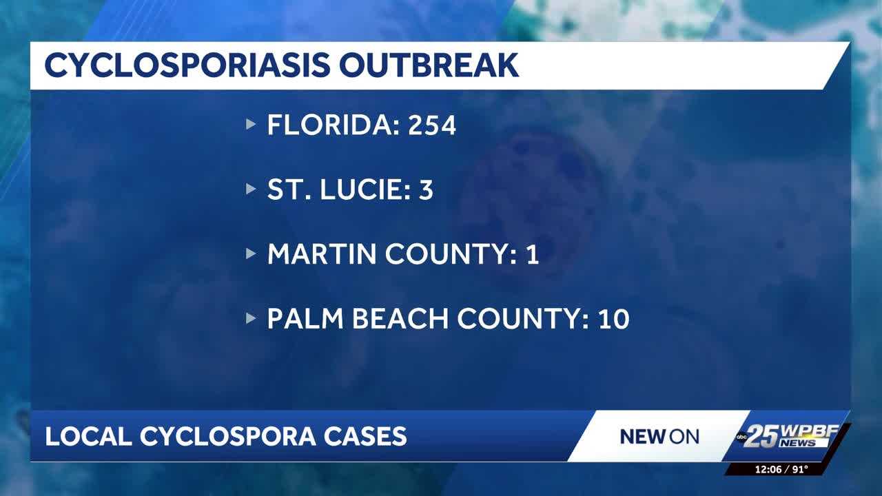 Cyclospora cases rise in Florida, with Palm Beach County leading locally — WPBF West Palm Beach, Jupiter Community news